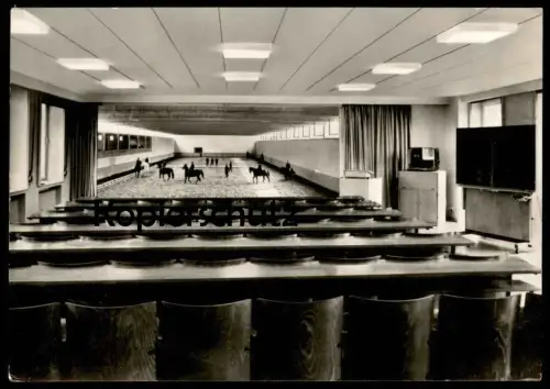 ÄLTERE POSTKARTE DEUTSCHE REITSCHULE WARENDORF riding school horse carousel école d'équitation cheval Pferd AK cpa