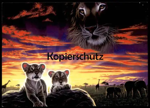 ÄLTERE POSTKARTE MOTHER EARTH FATHER SKY SCHIM SCHIMMEL Löwe Giraffe Elefant lion elephant Ansichtskarte postcard AK cpa