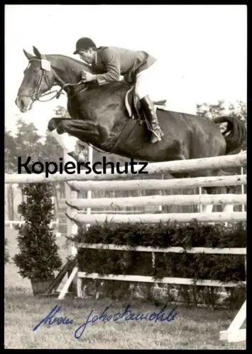 ÄLTERE POSTKARTE ALWIN SCHOCKEMÖHLE PFERD REITSPORT AUTOGRAMMKARTE Show Jumping Sport Horse Cheval Autograph postcard AK
