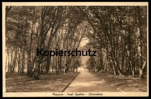 ALTE POSTKARTE MASUREN INSEL UPALTEN ULMENDOM Upalty Ostpreussen Ulmen Ulme Baum cpa postcard AK Ansichtskarte