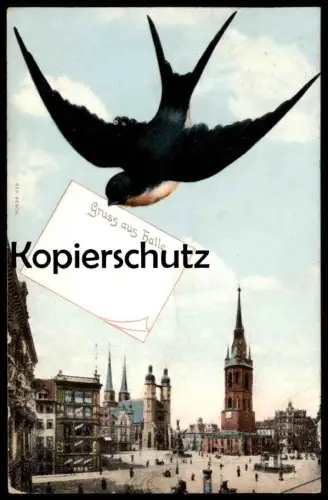 ALTE POSTKARTE GRUSS AUS HALLE SCHWALBE BRINGT MITTEILUNG BRIEF Vogel swallow bird avaler cpa postcard AK Ansichtskarte