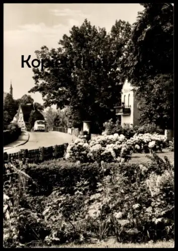 ÄLTERE POSTKARTE GRÜNHEIDE MARK KARL-MARX-STRASSE BUS OMNIBUS BLUMEN AK Ansichtskarte postcard cpa