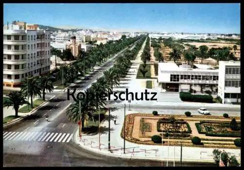 ÄLTERE POSTKARTE TUNIS AVENUE MOHAMED V Tunisia Tunisie Tunesien cpa postcard Ansichtskarte AK