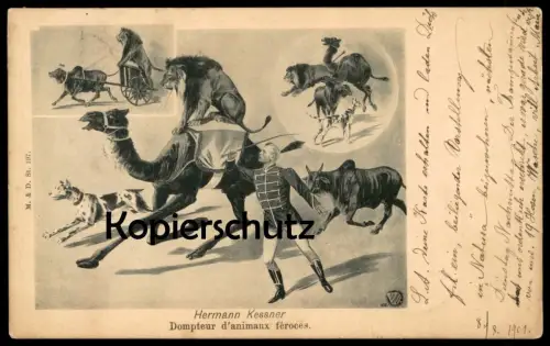 ALTE POSTKARTE HERMANN KESSNER DOMPTEUR D'ANIMAUX FÉROCES Zirkus Knie cirque circus dresseur Dressur Zürich postcard