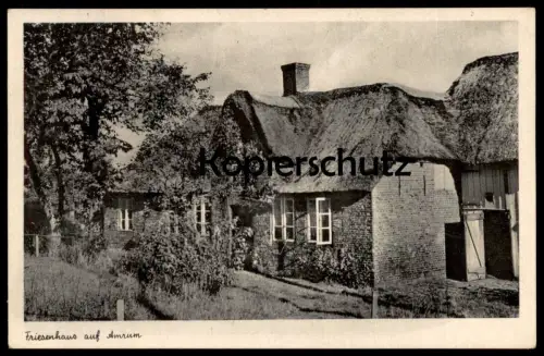 ALTE POSTKARTE FRIESENHAUS AUF INSEL AMRUM Reetdach Reet Bauernhaus Friesisches Haus Ansichtskarte cpa AK postcard