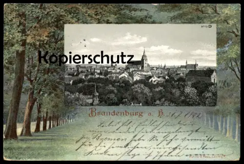 ALTE LITHO POSTKARTE BRANDENBURG AN DER HAVEL PANORAMA DOM ALLEE Bäume cpa AK Ansichtskarte postcard