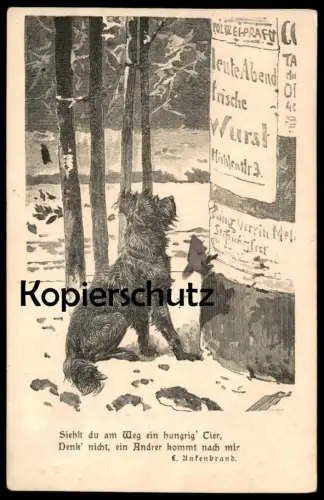 ALTE POSTKARTE TIERSCHUTZ BERLIN 1.11.11 L. UNKENBRAND HUNGRIGER HUND POLIZEI PLAKAT dog chien Ansichtskarte postcard