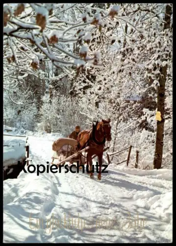 ÄLTERE POSTKARTE EIN GLÜCKLICHES NEUES JAHR PFERDESCHLITTEN PFERD SCHLITTEN horse cheval luge sleigh Blesse AK cpa