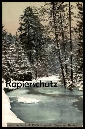 ALTE POSTKARTE MOTIV A. D. PRIESSNITZGRUND DRESDNER HEIDE Dresden Schnee snow Winter cpa postcard AK Ansichtskarte