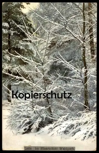 ALTE POSTKARTE IM BLASEWITZER WALDPARK BLASEWITZ PARK Dresden Schnee snow Winter cpa postcard AK Ansichtskarte