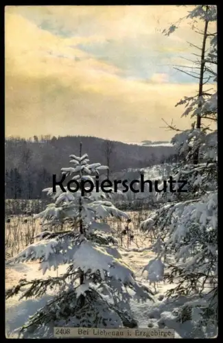 ALTE POSTKARTE BEI LIEBENAU IM ERZGEBIRGE Altenberg Photochromie Schnee snow Winter cpa postcard AK Ansichtskarte