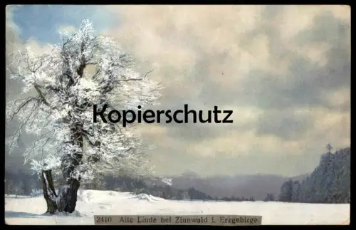ALTE POSTKARTE ALTE LINDE BEI ZINNWALD IM ERZGEBIRGE Georgenfeld Altenberg tree Baum arbre tilleul lime Ansichtskarte