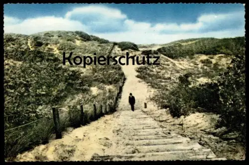 ÄLTERE POSTKARTE BERGEN N.H. DUINPANORAMA Noord-Holland Duin Dünen Nederland postcard Ansichtskarte cpa AK