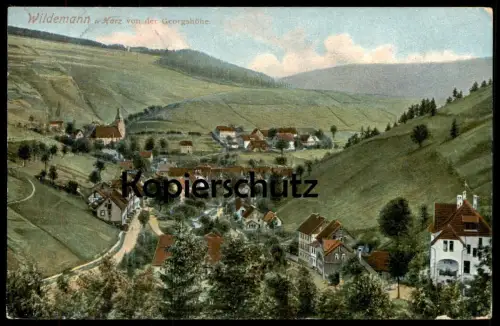 ALTE POSTKARTE WILDEMANN IM HARZ VON DER GEORGSHÖHE Ansichtskarte postcard AK cpa