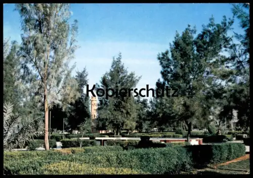 ÄLTERE POSTKARTE RIYADH PUBLIC GARDENS Garden Saudi Arabia Saudi-Arabien Park parc Ansichtskarte cpa AK postcard