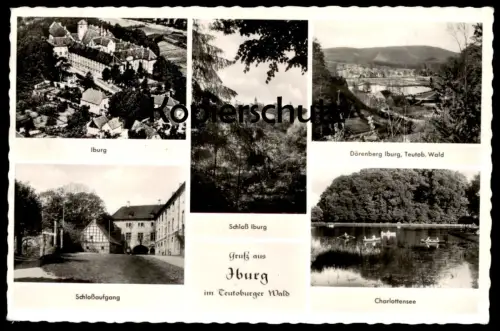 ÄLTERE POSTKARTE GRUSS AUS IBURG IM TEUTOBURGER WALD DÖRENBERG SCHLOSSAUFGANG BAD castle chateau cpa Ansichtskarte