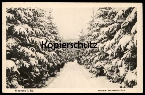 ALTE POSTKARTE MEERANE IN SACHSEN WILHELM-WUNDERLICH-PARK 1944 Winter Tannen Schnee Ansichtskarte postcard cpa AK