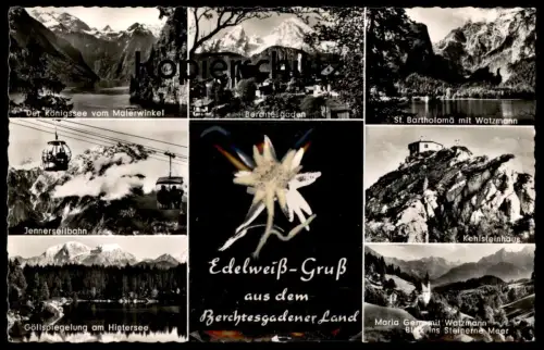 ÄLTERE POSTKARTE EDELWEISS-GRUSS AUS DEM BERCHTESGADENER LAND KEHLSTEINHAUS JENNER Edelweiss cpa Ansichtskarte postcard