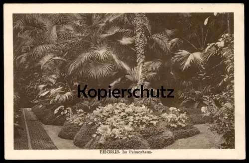 ALTE POSTKARTE EISGRUB IM PALMENHAUS FÜRST LIECHTENSTEIN SCHLOSS LEDNICE Mähren Ansichtskarte postcard cpa AK