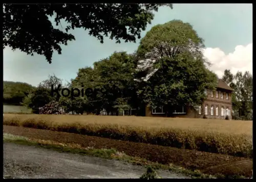 ÄLTERE POSTKARTE GAST- UND PENSIONSHAUS ZUM FREDEN SENTRUP ÜBER OSNABRÜCK RUF IBURG Ansichtskarte postcard cpa AK