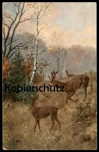 ALTE POSTKARTE EINLADUNG ZUR JAGD hunting invitation chasse Reh roe deer buck chevreuil Ansichtskarte postcard AK cpa