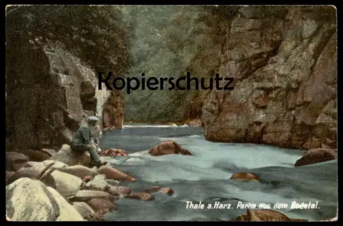 ALTE POSTKARTE THALE A. HARZ PARTIE AUS DEM BODETAL Bode Angler Fischer fishing fischerman pecheur Ansichtskarte cpa AK