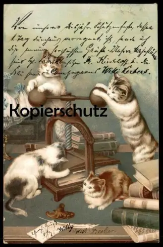 ALTE POSTKARTE VERMENSCHLICHTE KATZEN ALS BUCHDRUCKER BUCHPRESSE BUCHDRUCK Katze cat cats chats chat cpa postcard AK