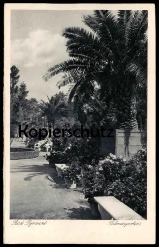 ALTE POSTKARTE BAD PYRMONT PALMENGARTEN DEUTSCHLANDS SCHÖNSTER KURPARK Palme Palmen Garten Ansichtskarte cpa postcard AK
