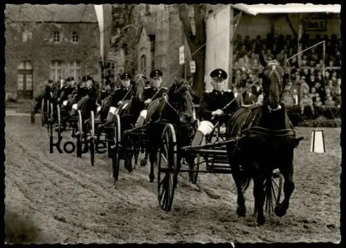 ALTE POSTKARTE HENGSTPARADE LANDGESTÜT WARENDORF Hengst Pferde horses horse Pferd coach postcard Ansichtskarte Reitsport