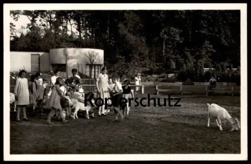 ALTE POSTKARTE ESSEN KINDER-ZOO IM GRUGAPARK TIERPARK Ziegen Ziege goat chèvre Ansichtskarte cpa postcard AK