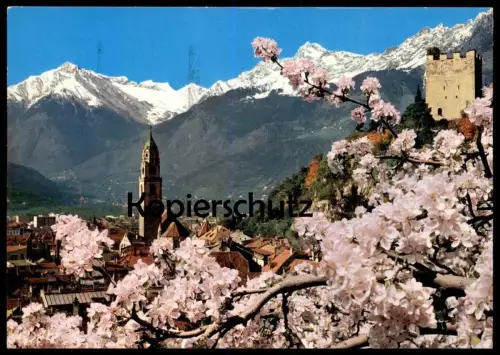 ÄLTERE POSTKARTE FRÜHLING IN MERAN TEXELGRUPPE PRIMAVERA A MERANO cpa postcard Ansichtskarte AK