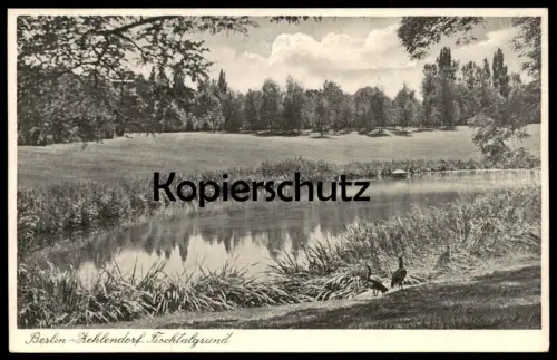 ALTE POSTKARTE BERLIN ZEHLENDORF FISCHTALGRUND postcard cpa Ansichtskarte AK