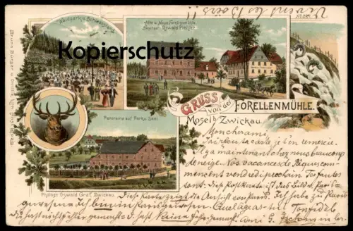 ALTE LITHO POSTKARTE GRUSS VON DER FORELLENMÜHLE MOSEL BEI ZWICKAU 1901 SCHIESSSTAND Hirsch deer Ansichtskarte postcard