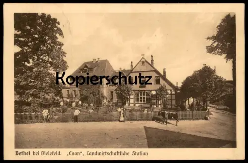 ALTE POSTKARTE BETHEL BEI BIELEFELD ENON LANDWIRTSCHAFTLICHE STATION Kuh cow vache Ansichtskarte AK postcard Bauernhaus