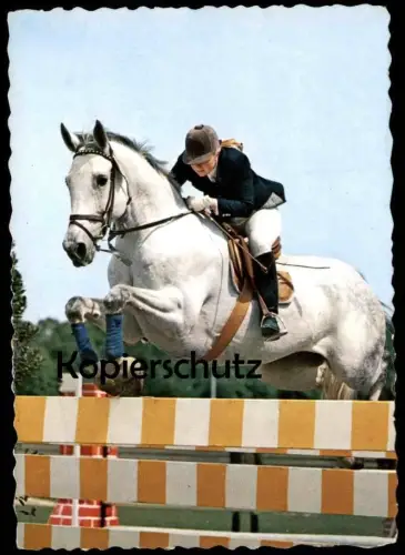 ÄLTERE POSTKARTE REITSPORT PFERD SPRINGREITEN show jumping Sport hippique Equitation horse cheval Barren cpa postcard