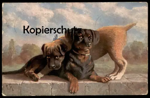 ALTE POSTKARTE HUNDE BITTE RECHT FREUNDLICH HUNDEGRUPPEN Hund dog chien dogs Dackel ? Welpen cpa postcard Ansichtskarte