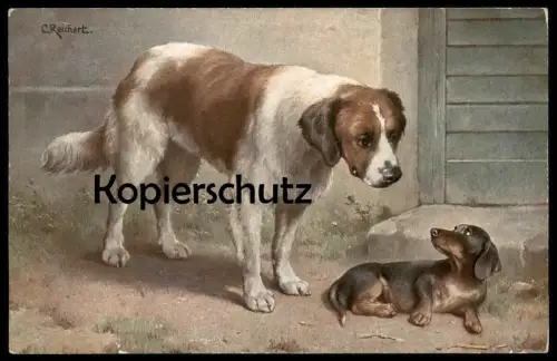 ALTE POSTKARTE BERNHADINER UND DACKEL CARL REICHERT dachshund Teckel dog chien cpa postcard Ansichtskarte AK