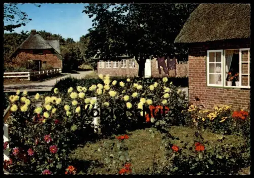 ÄLTERE POSTKARTE INSEL SYLT FRIESENHAUS IN KEITUM Vorgarten Blumen Reetdach Haus cpa AK Ansichtskarte postcard