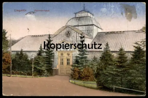 ALTE POSTKARTE LIEGNITZ PALMENHAUS REKLAME KAUFHAUS MORITZ GUTTFELD SEIT 50 JAHREN Legnica postcard Ansichtskarte cpa