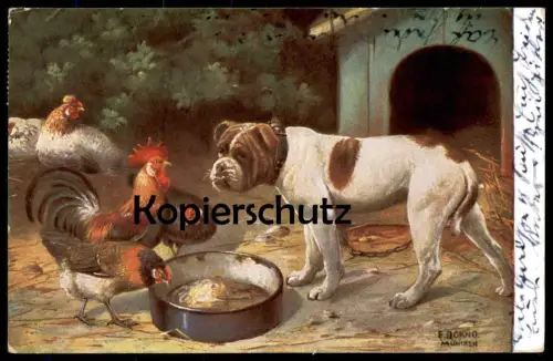 ALTE KÜNSTLER POSTKARTE E. DORNO MÜNCHEN HUND HAHN HUHN HÜHNER TROG dog chicken cock chien coq poule Ansichtskarte cpa