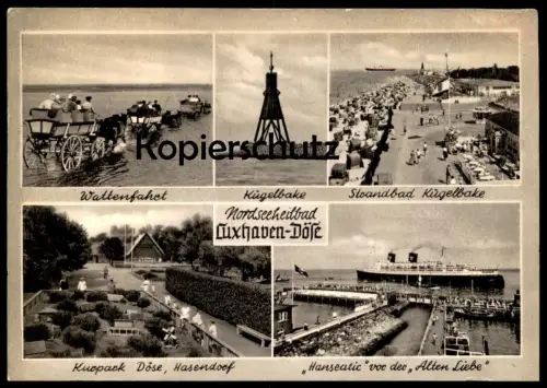 ÄLTERE POSTKARTE CUXHAVEN-DÖSE WATTENFAHRT SCHIFF HANSEATIC HASENDORF IM KURPARK Ansichtskarte AK postcard cpa