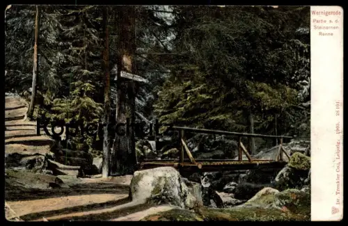 ALTE POSTKARTE WERNIGERODE PARTIE AN DER STEINERNEN RENNE Steinerne Hinweisschild Hotel Harz AK Ansichtskarte postcard