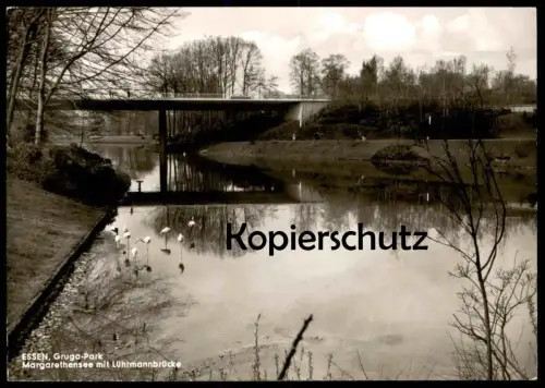 ALTE POSTKARTE ESSEN MARGARETHENSEE MIT LÜHRMANNSBRÜCKE GRUGA-PARK Ansichtskarte cpa postcard AK