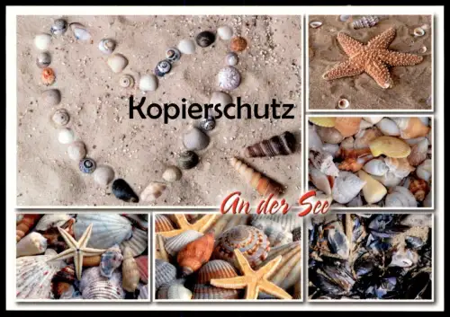 POSTKARTE AN DER SEE MEER MUSCHEL COQUILLAGE DE MER Sea Shell Seestern seastar etoile shell Herz postcard Ansichtskarte