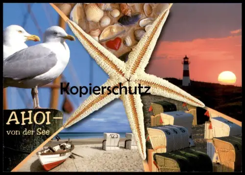POSTKARTE AHOI VON DER SEE MEER MUSCHEL COQUILLAGE DE MER Möwe seastar Seestern etoile shell postcard Ansichtskarte cpa