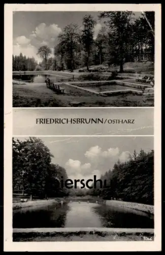 ÄLTERE POSTKARTE FRIEDRICHSBRUNN OSTHARZ Teich See lake bassin Harz Ansichtskarte AK cpa postcard