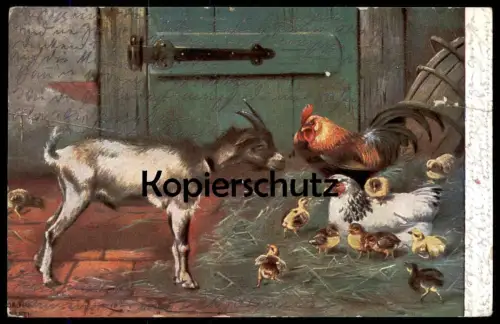 ALTE KÜNSTLER POSTKARTE E. DORNO MÜNCHEN ZIEGE HAHN HUHN KÜKEN goat chicken cock chevre coq poule Ansichtskarte cpa AK