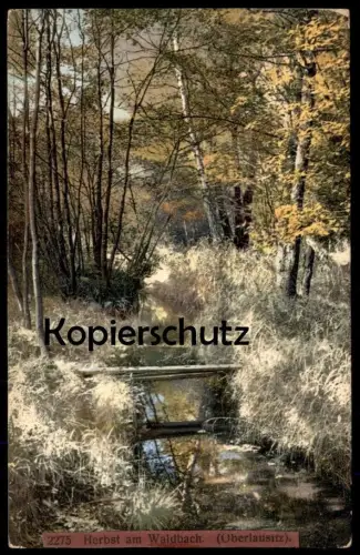 ALTE POSTKARTE HERBST AM WALDBACH OBERLAUSITZ Lausitz autumn Photochromie Ansichtskarte postcard AK cpa