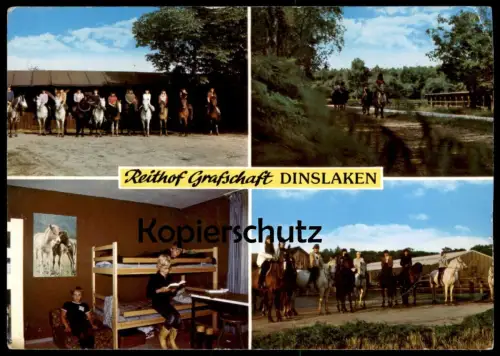 ÄLTERE POSTKARTE REITHOF GRAFSCHAFT DINSLAKEN Pferde Pferd Stockbett Ausritt Reiterhof Ansichtskarte AK cpa postcard