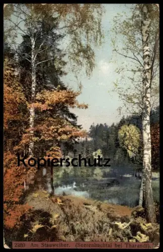 ALTE POSTKARTE AM STAUWEIHER SEERENBACHTAL BEI THARANDT Dorfhain Seerenbach Weiher Teich Photochromie Ansichtskarte cpa